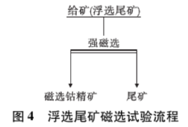 浮選尾礦磁選試驗(yàn)流程